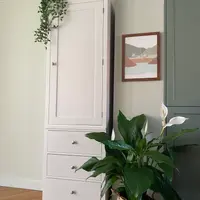 White painted Colmworth modular wardrobe with a single tall panelled door above three drawers, with trailing ivy on top and a peace lily in a seagrass basket alongside