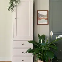 Front view of the tall narrow white painted wardrobe, one panelled door above three drawers with brushed nickel knobs, beside a peace lily and a framed coastal print on a pale green wall